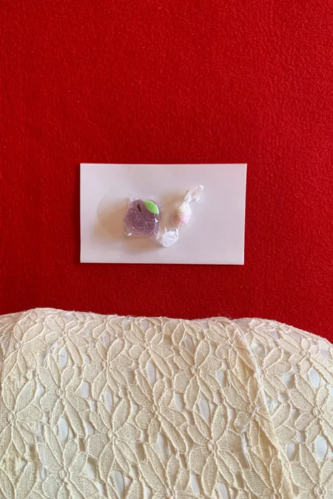 Dulces japoneses wagashi servidos en una ceremonia del té – guía de viaje a Japón