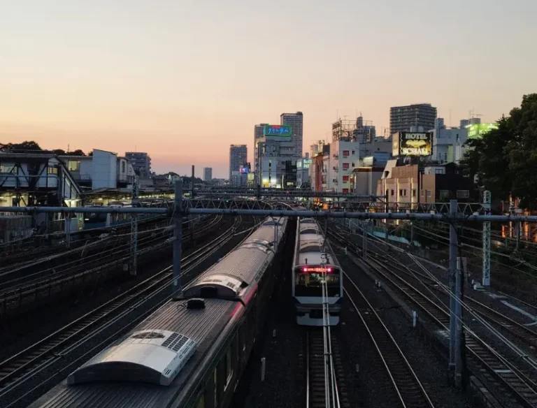 Trenes en Tokio al atardecer durante un viaje a Japón.