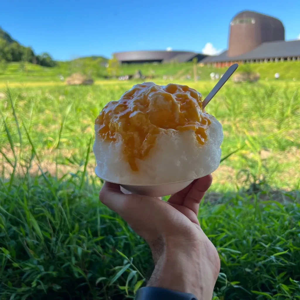 Kakigori en verano en Japón; guía de cuándo viajar a Japón según el clima.