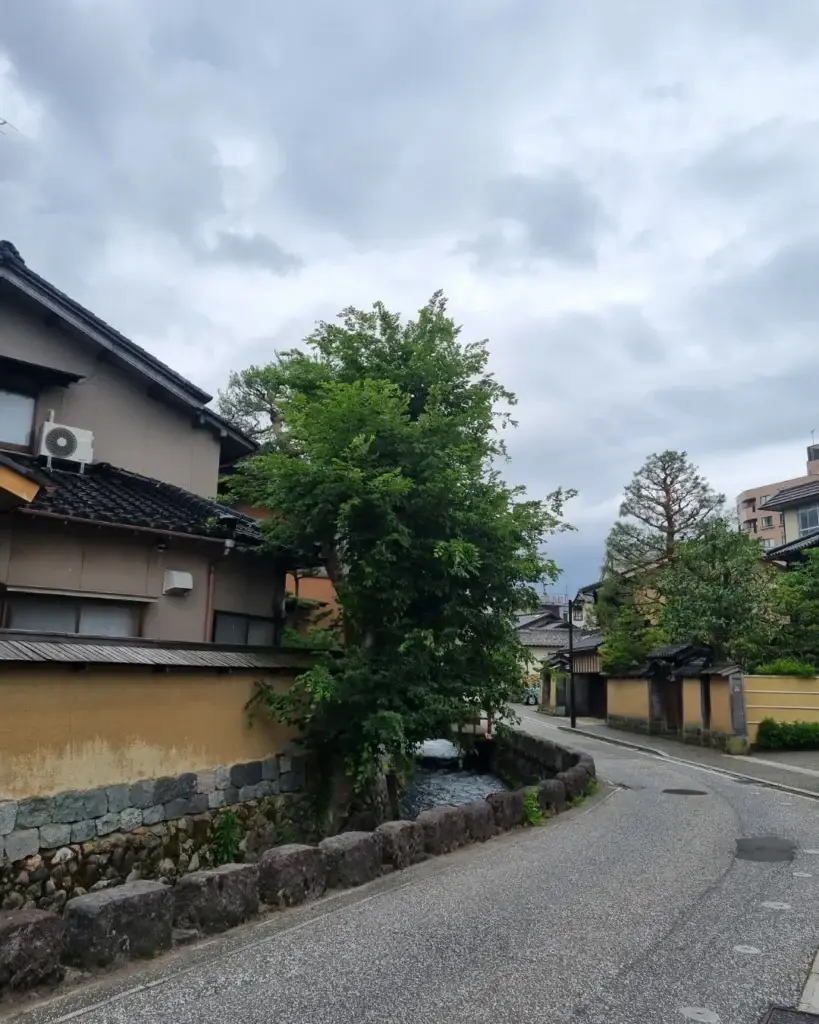 Qué ver en Kanazawa: Calles con muros de barro y canal de agua del barrio samurai Nagamachi