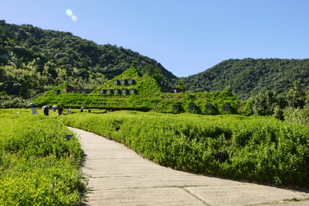Fachada cubierta de vegetación en La Collina Omihachiman, un espacio contemporáneo cerca de los canales históricos.