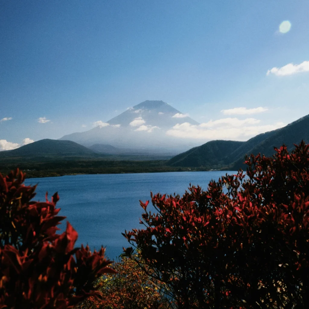 Vista del monte Fuji desde los lagos con vegetación otoñal en primer plano