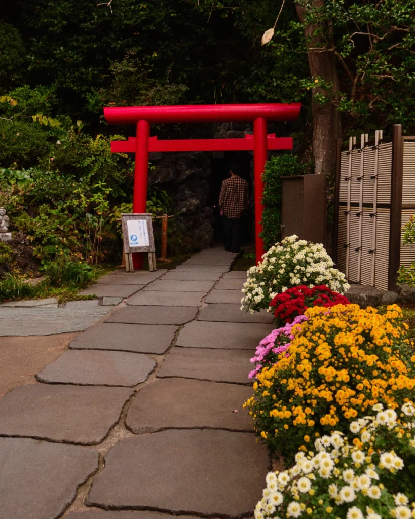 Torii rojo frente a la entrada de una cueva rodeada de vegetación en un santuario japonés.