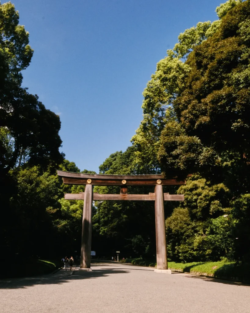 Gran torii de madera del santuario Meiji, uno de los más famosos de Japón, rodeado de árboles y cielo azul.