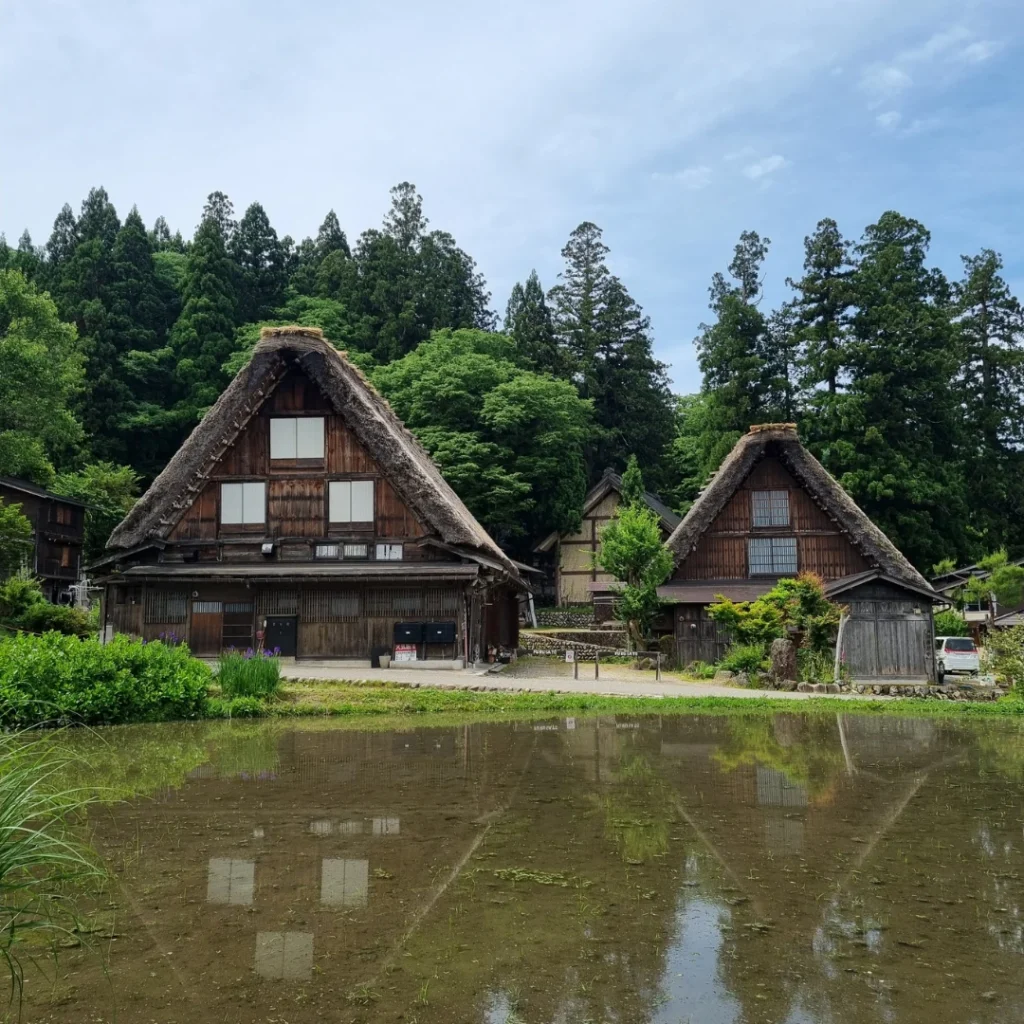 Casas gassho-zukuri reflejadas en un estanque en la aldea de Ogimachi.