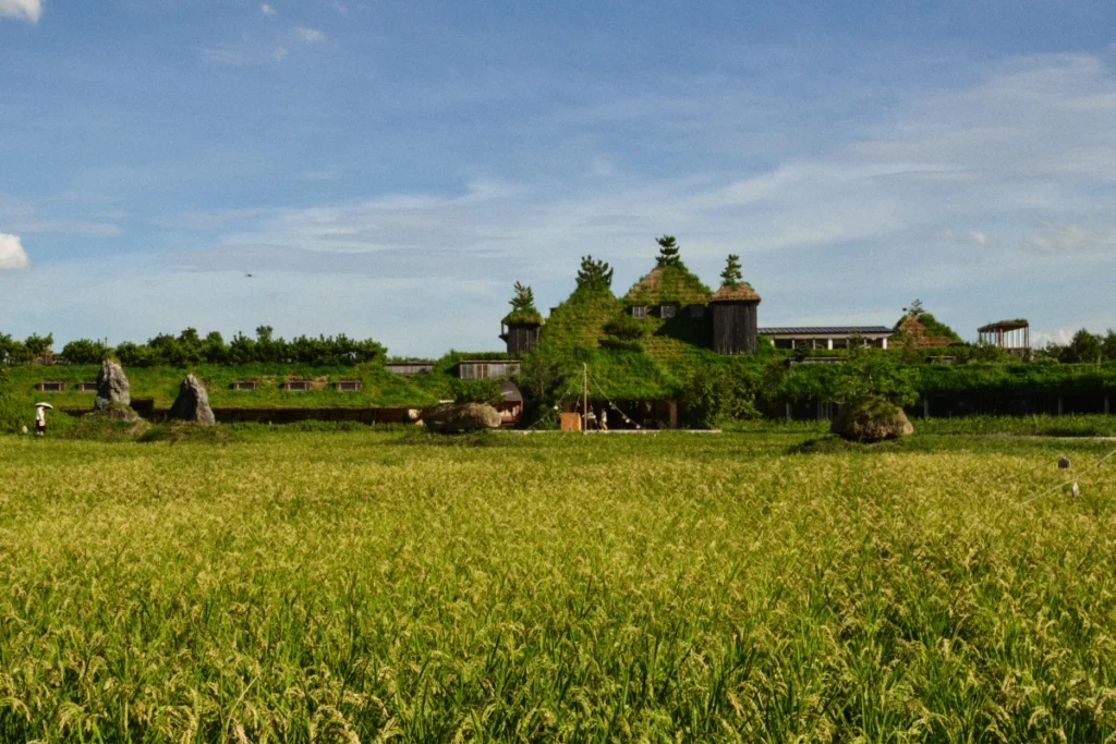 Paisaje rural de Omihachiman con campos de arroz y arquitectura tradicional, perfecto para itinerarios japon más tranquilos.