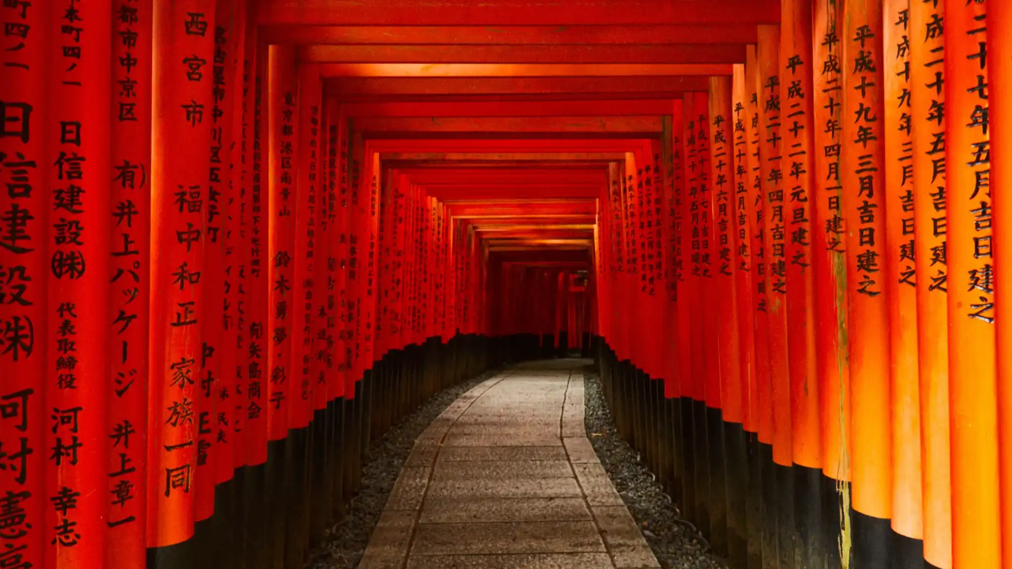 Ruta de 15 días por Japón: torii rojos en Fushimi Inari Taisha, Kioto